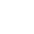 <p>Physical Store</p>